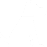 Pet Supplies