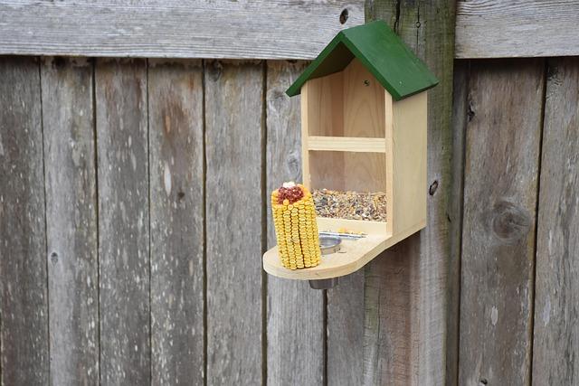 Smart & Easy: Automatic Feeders for Busy Pet Owners Smart & Easy: Automatic Feeders for Busy Pet Owners