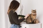 Top Essential Grooming Tools Every Pet Owner Needs