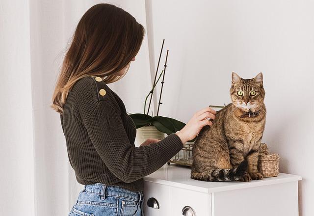 Top Essential Grooming Tools Every Pet Owner Needs
